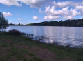 Lac et réserve ornithologique du Broussau à Aire sur l'Adour