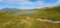 Lac et tourbière