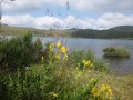 Lac Montcineyre au petit matin