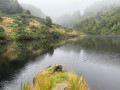 Lac Otago