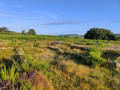 Landes du coté de Berrien