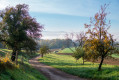 Tour de la région - Emmendingen