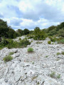 Lapiaz à proximité du Dolmen