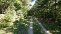 Large voie carrossable en forêt