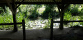 Lavoir du Thouet