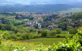 Paysages vallonnés et nature sauvage au cœur des Pierres Dorées