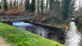 Le canal de drainage et le ruisseau de Rosenau