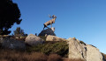 Le mémorial terre-neuvien de Beaumont-Hamel