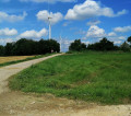 le champ d'éoliennes