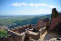 Les trois châteaux de Ribeauvillé