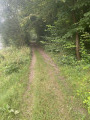 le chemin dans le bois de Guerbigny