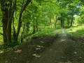 Le chemin de la Vallée de l'Amitié