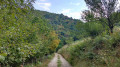 Le chemin de la Veyrière