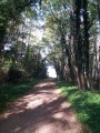 Le chemin de randonnée à Saint-Hilaire Saint-Mesmin