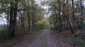 Le chemin de randonnée  peu avant l'étang de l'Auneau