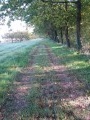 Le chemin de randonnée près de la Rue du Trembleau