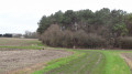 Boucle dans le vignoble de Cheverny au départ de Chitenay