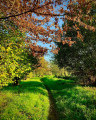 Autour du Sel-de-Bretagne