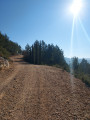 Le chemin du Vallon de la Galère