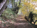 Le chemin en remontant sur Rebigue