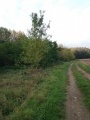 Le chemin forestier sur le GR 655 Est