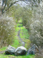Boucle campagnarde autour de Senzeilles