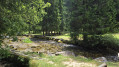 Source du Doubs et mare aux grenouilles