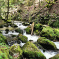 Belvédère du Bec de l'Aigle par les gorges du Bruyant