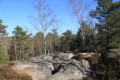 Hike in Fontainebleau forest: a tour of the Apremont Gorges