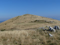 le grand colombier