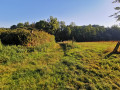 Le hameau L'Étang de Chiot