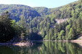 Le lac d'Altenweiher