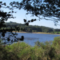 Le lac depuis le sentier boisé