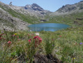 Le Lac de Foréant par le Col Vieux