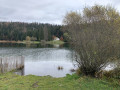 Le Lac Genin à partir d'Oyonnax