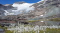 Refuge de l'Arpont - Les lacs et le glacier de l'Arpont (variante)