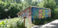 Le lavoir tagué