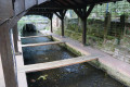 Le lavoir