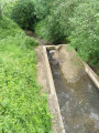 Le lavoir