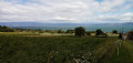 Le Léman vu depuis la ferme de Presles