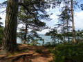 Le long de l'anse St Laurent