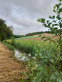 Entre Chêne et Chânois au départ de Nantilly