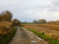 Autour du Bois Duquesnoy au départ d'Arleux