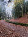 Promenade de la Passée aux Roches d'Olima