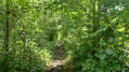 Un coin pittoresque du Borinage et les Marais d'Harchies