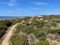 Le maquis de bord de mer