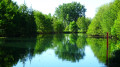 Dans le marais mouillé de Saint-Hilaire-la-Palud