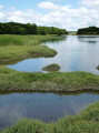 Le marais vu de la digue