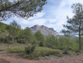 Le massif de Sainte-Victoire