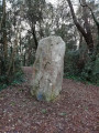 Le Menhir de la Pierre Attelée